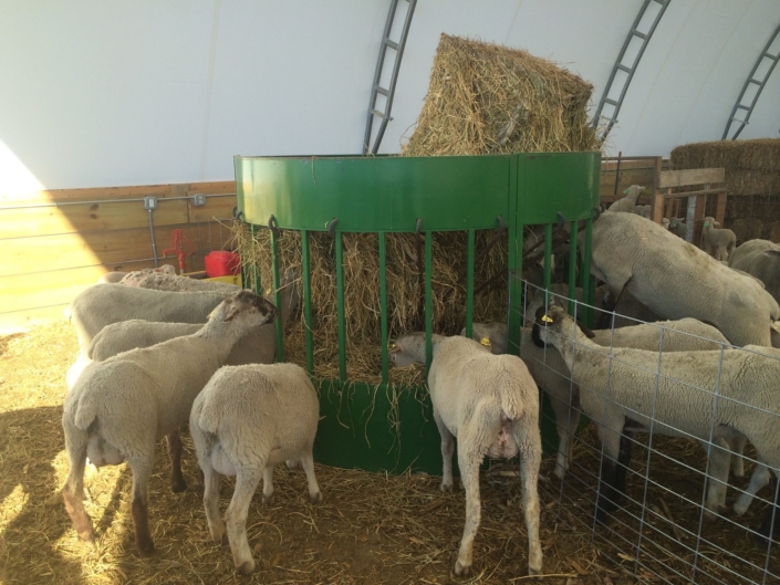 the hay manager round bale cone feeder for cow cattle horse sheep goat