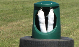 Mineral-feeder