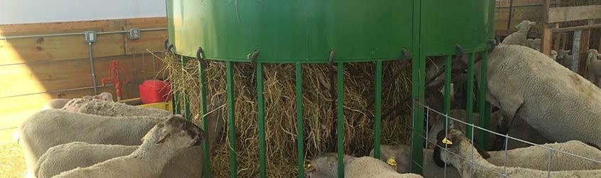 Why Feed Sheep with Cone Feeders?