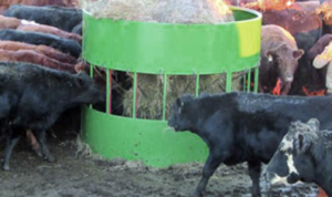 cow-feeder=the-hay-manager