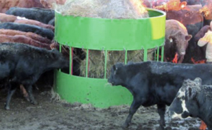 cow hay feeders