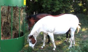 Horse-Feeder-The-Hay-Manager