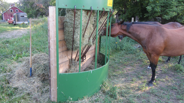 the hay manager round bale cone feeder for cow cattle horse sheep goat
