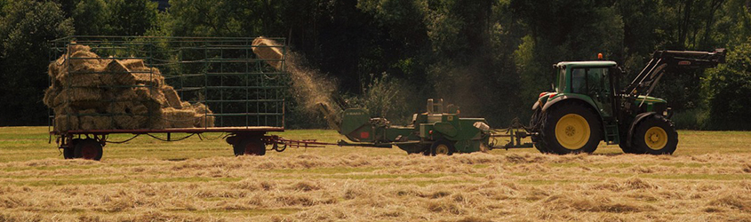 commercial hay farming