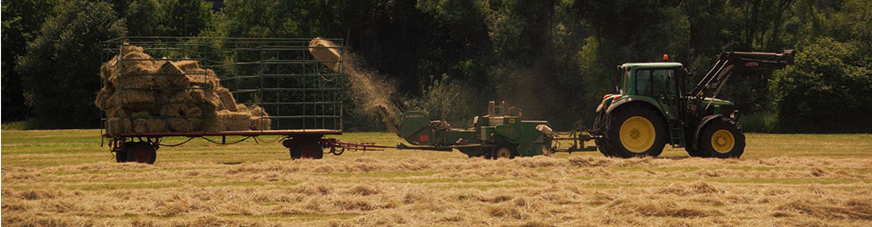 commercial hay farming