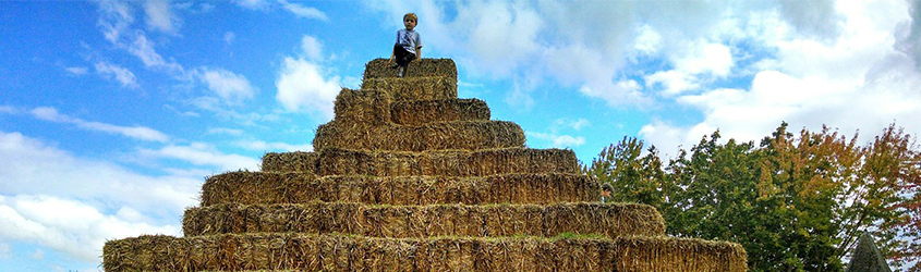 hay garden