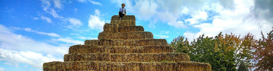 hay garden