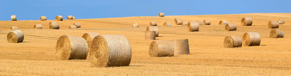 How To Roll The Perfect Hay Bale The Hay Manager