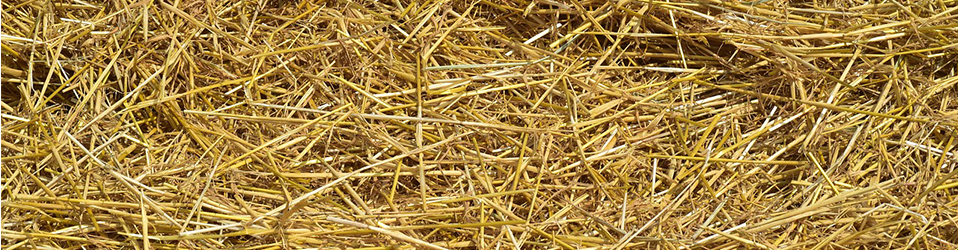 Hay vs. Straw: A Tutorial - The Hay Manager